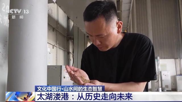 文化中国行丨古人智慧惠泽千年太湖溇港让滩涂变粮仓(图8)
