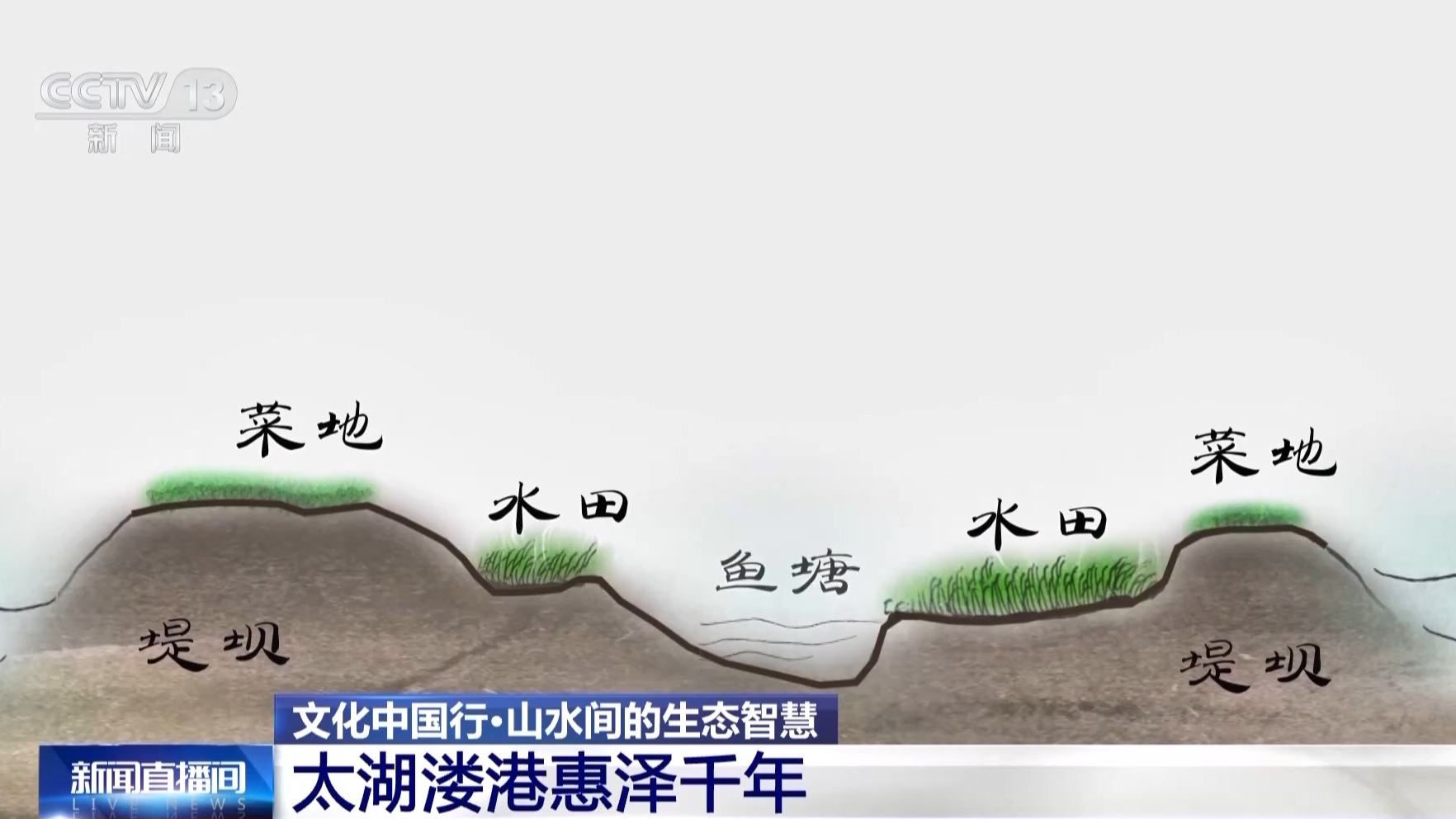 文化中国行丨让滩涂变粮仓看太湖溇港里的治水智慧(图4)