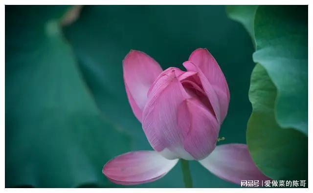 婆媳关系不和的根结男人必须解决否则后果不堪设想