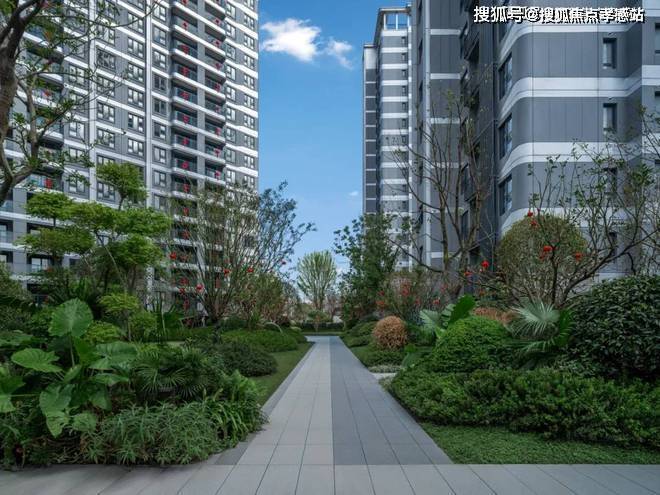 中建玖海云天【上海】2025中建玖海云天网站-价格户型配套(图4)