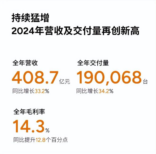 2024新能源财报解码：“双小”最开心零跑创下新高！(图2)