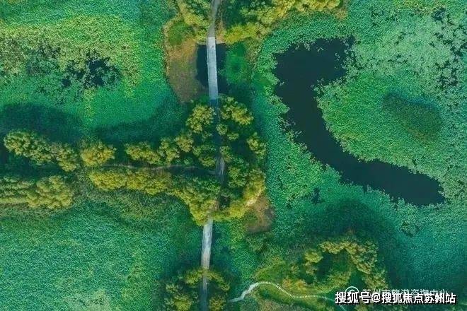 鹿溪雅园(鹿溪雅园)首页置顶-2025年+房价+户型图+小区环境+配套(图20)