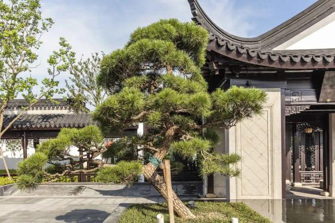 ☎‍楼市热点@璟雲里售楼处发布：‍璟雲里邀请您鉴赏！(图16)