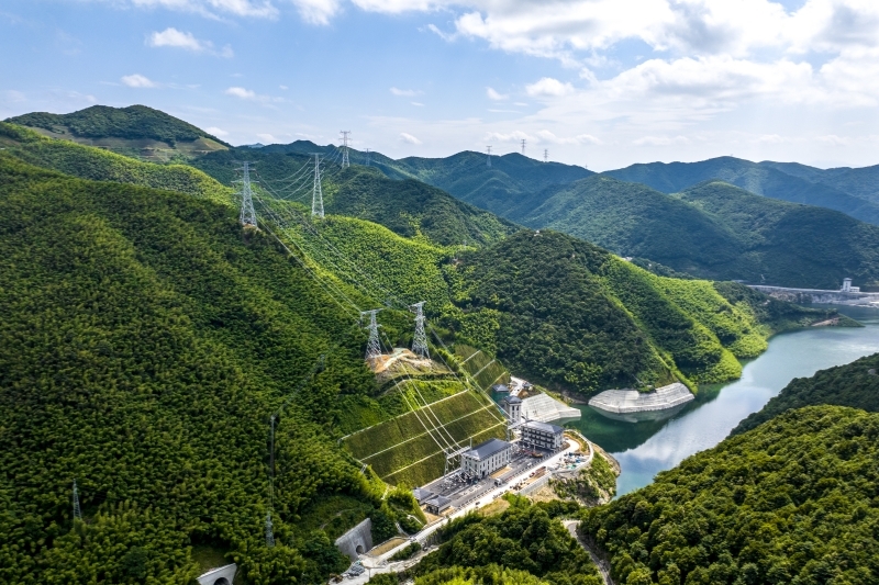 国家电网积极扩大有效投资加快重大项目建设(图7)