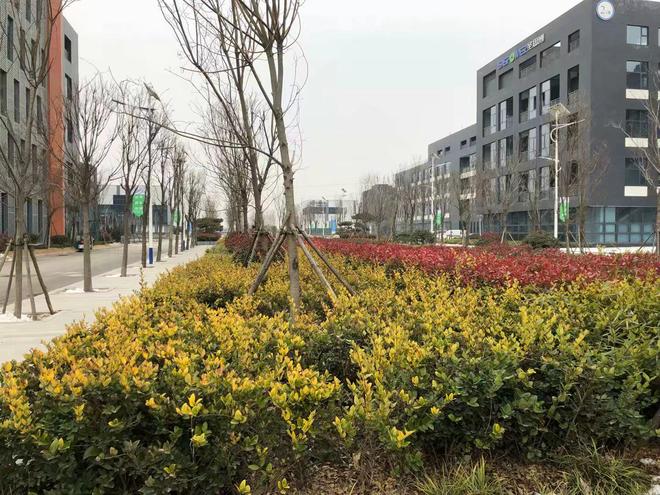 解码济宁城市发展潜力开启投资财富之门(图2)