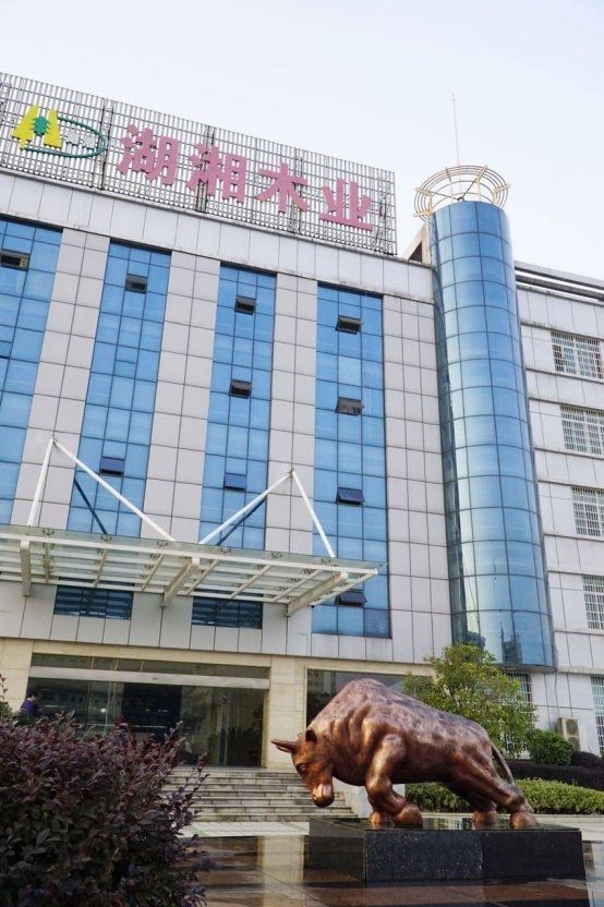 2025板材行业大洗牌！最新十大品牌震撼公布(图2)