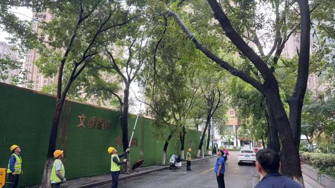 刚刚台风中心抵达常州！！昨夜风声呼啸、暴雨如注……(图9)