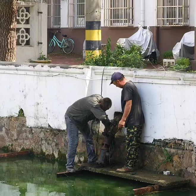 刚刚台风中心抵达常州！！昨夜风声呼啸、暴雨如注……(图4)