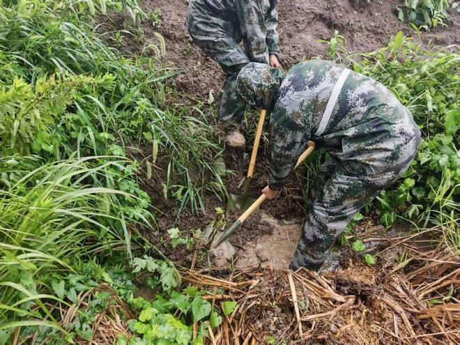 刚刚台风中心抵达常州！！昨夜风声呼啸、暴雨如注……(图12)