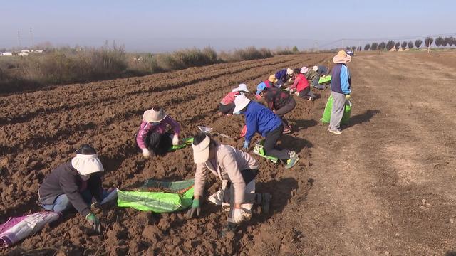 铜川市耀州区：强化“三资”管理赋能乡村振兴多元产业融合绘就富民新图景(图2)