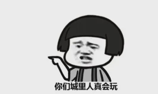 汽车行业的恒大已经出现了？会是谁……(图11)