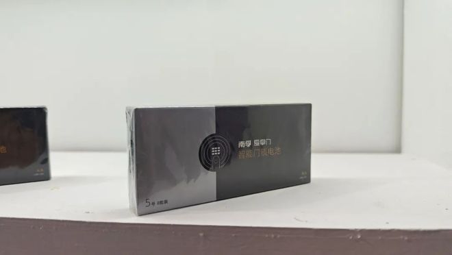 门博会焦点:看南孚爱掌门如何赢得智能锁B端伙伴青睐(图2)