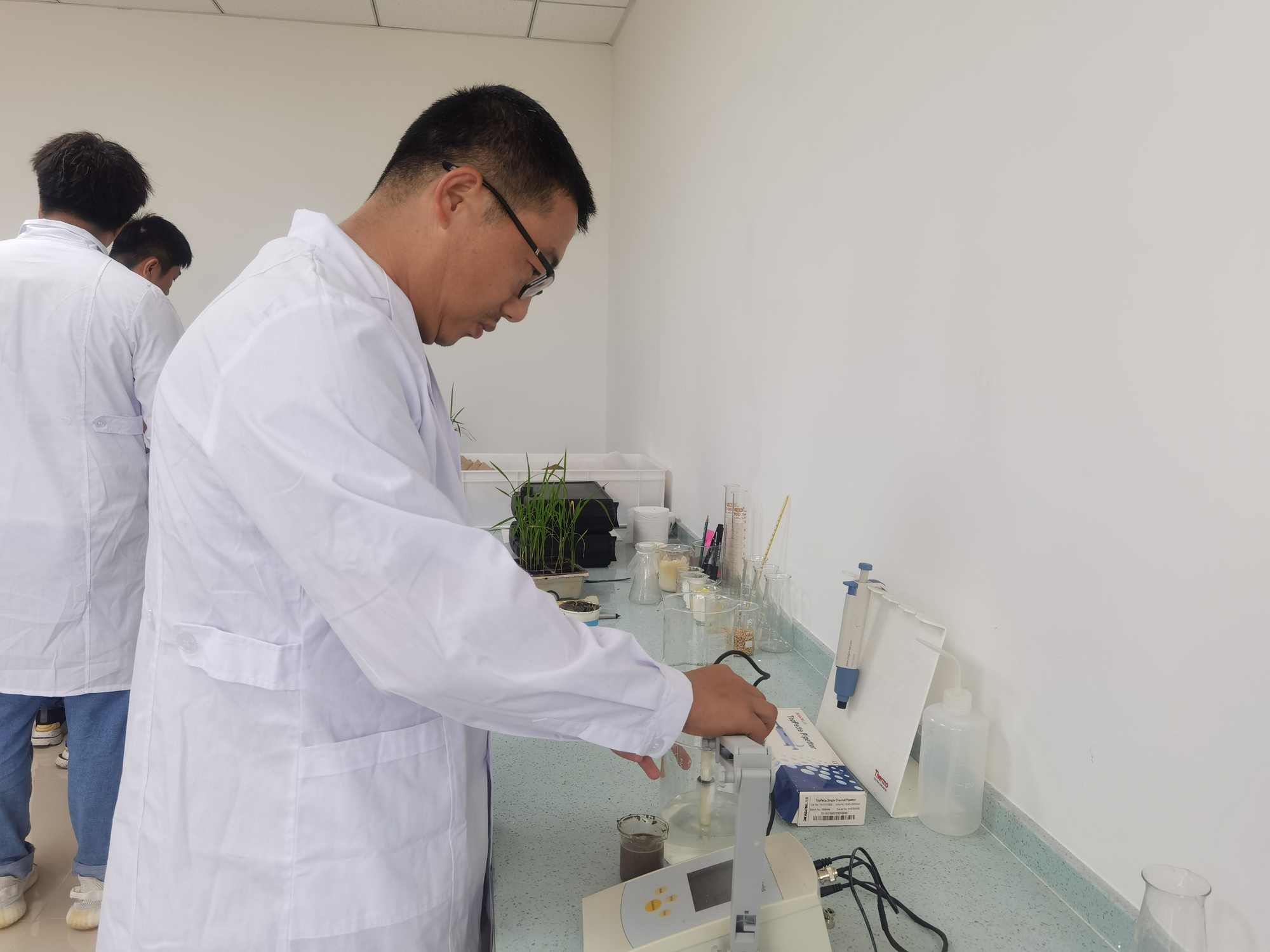 高质量发展看中国荒滩变粮仓解码盐碱地的“丰收密码”(图2)