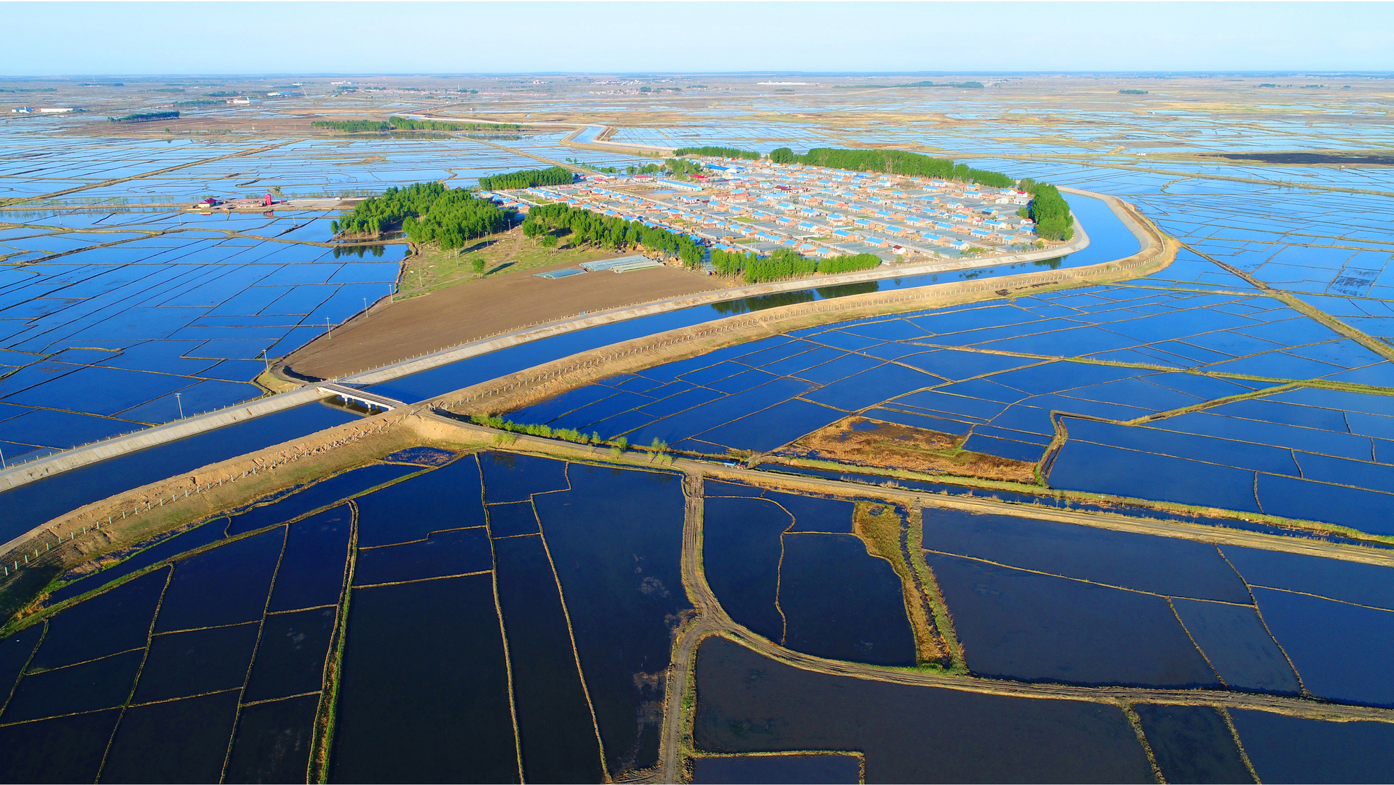 高质量发展看中国荒滩变粮仓解码盐碱地的“丰收密码”(图3)