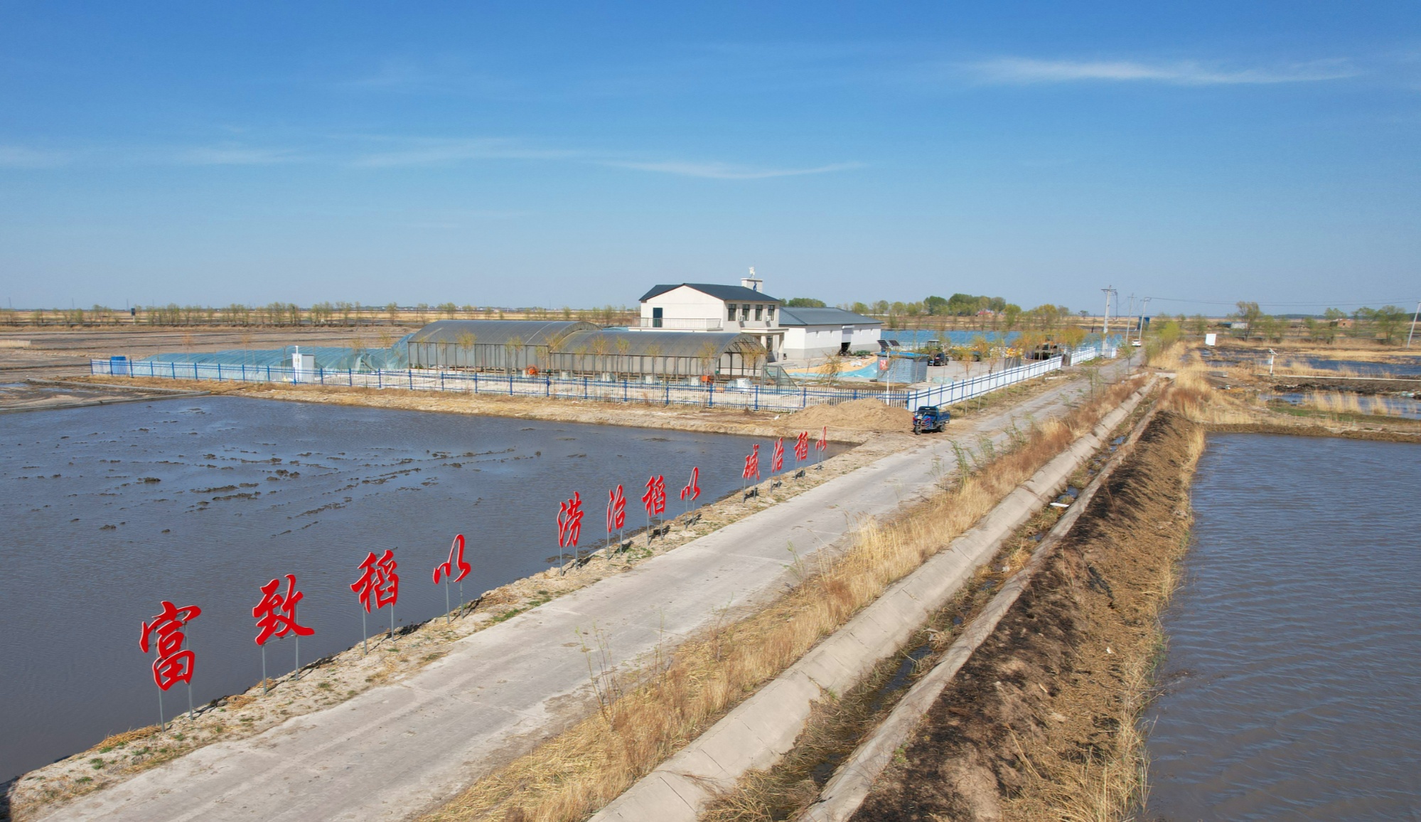 高质量发展看中国荒滩变粮仓解码盐碱地的“丰收密码”(图4)