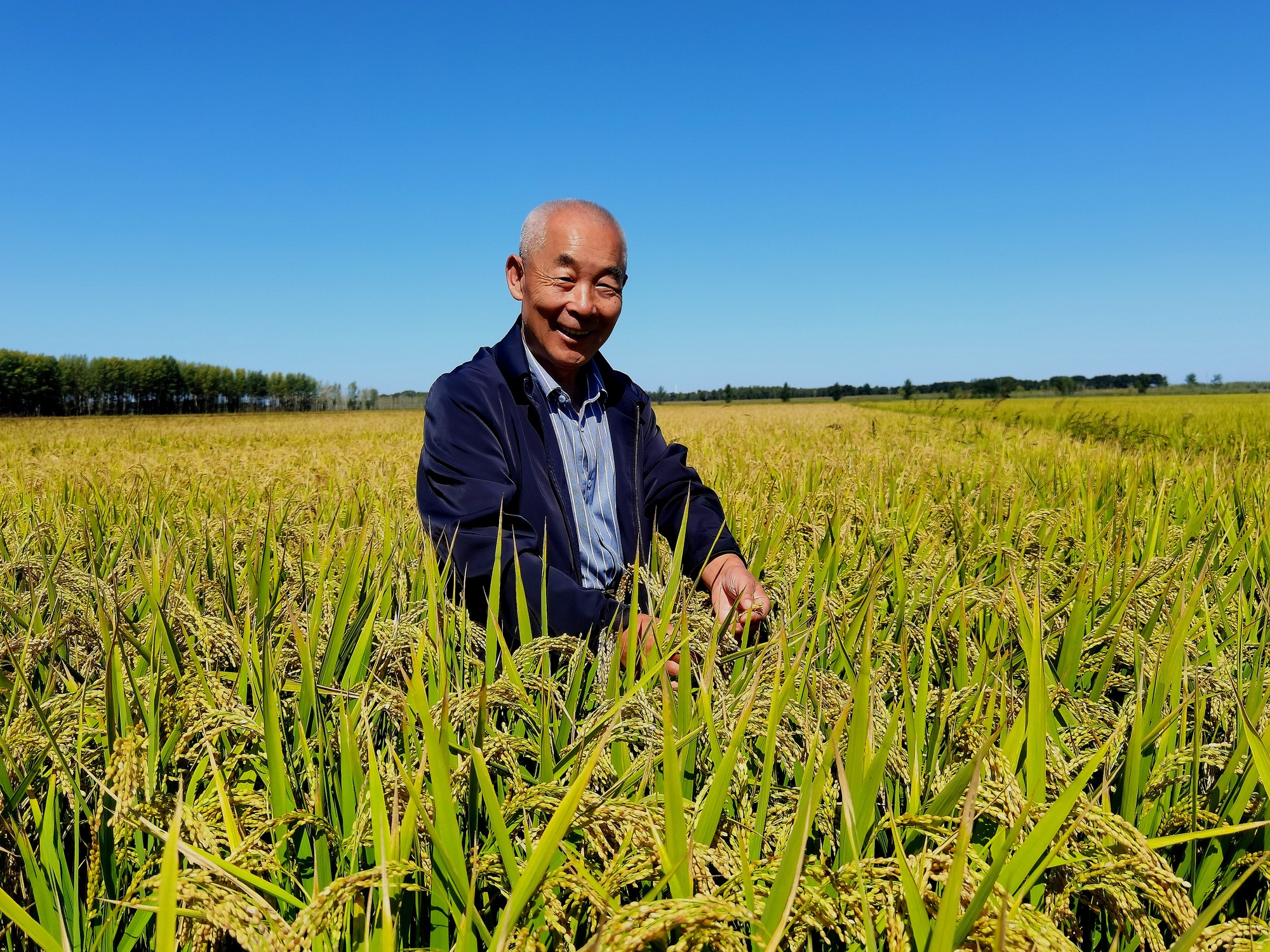 高质量发展看中国荒滩变粮仓解码盐碱地的“丰收密码”(图6)