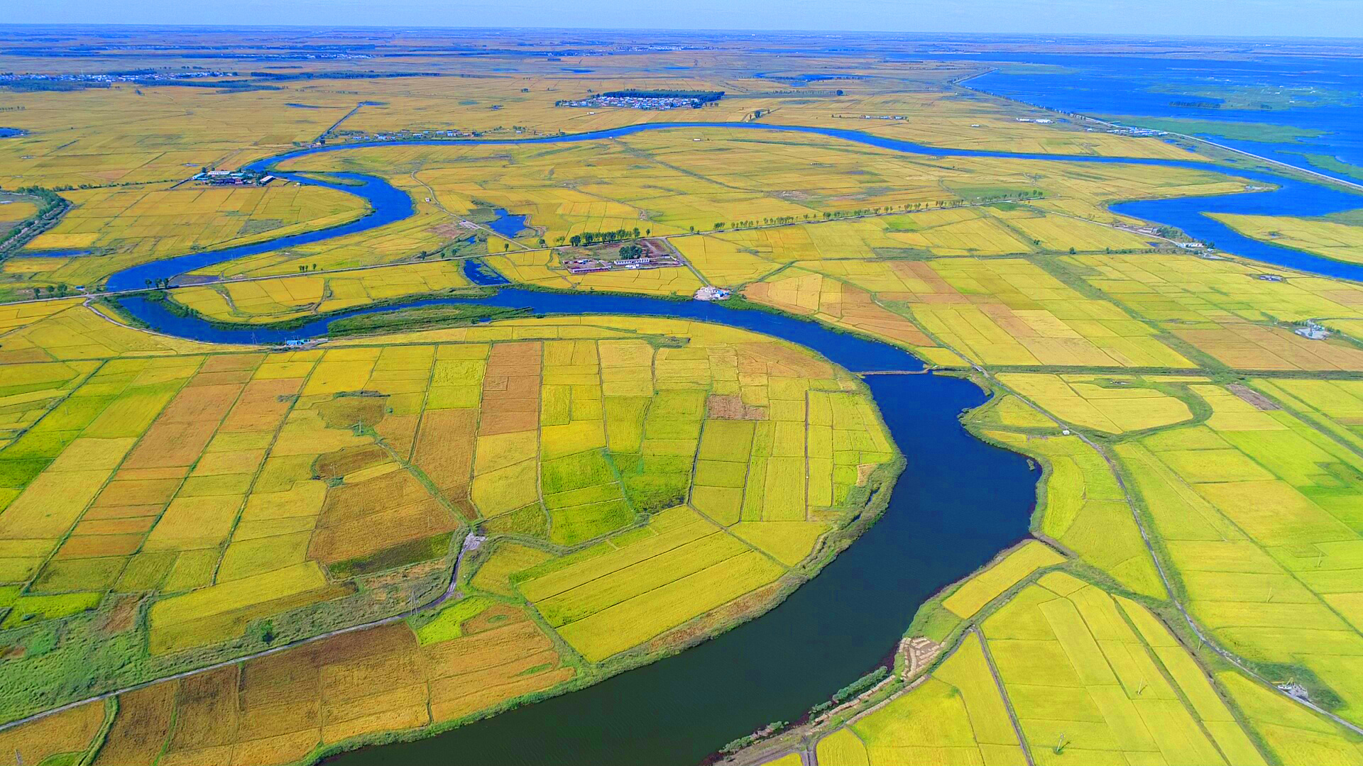高质量发展看中国荒滩变粮仓解码盐碱地的“丰收密码”(图7)