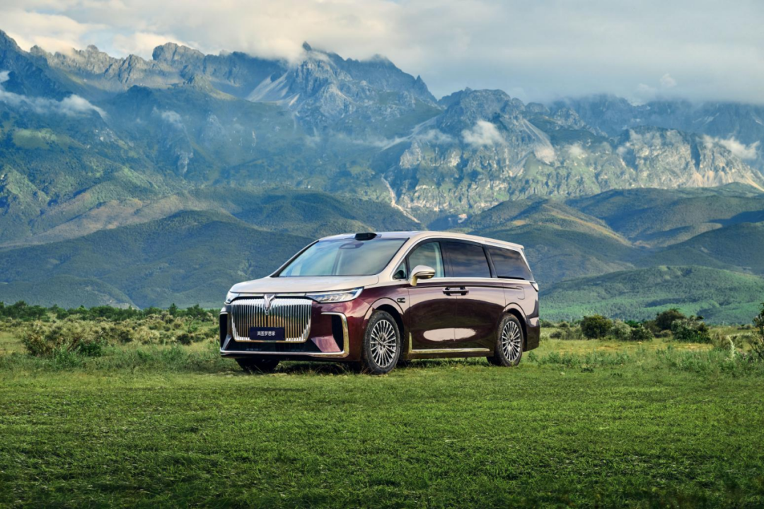 盘点2025成都车展国产豪车：岚图梦想家、极氪9X、享界S9T(图4)