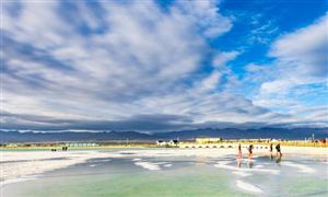 案例分析_中研普华行业研究网(图2)