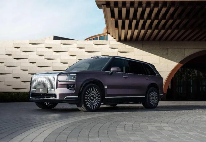 谁在购买极氪9X?(图4)