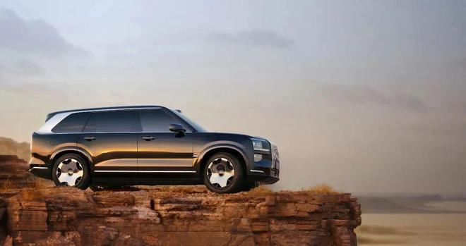 谁在购买极氪9X?(图5)