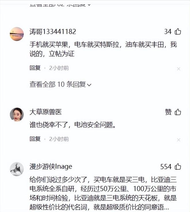 又一新能源爆燃!没车祸无碰撞有车门打不开起火10秒连续爆炸(图2)