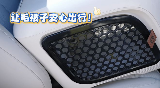 腾势N8L试驾总结:腾势能否再次腾飞在此一举(图2)