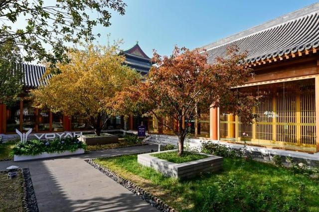 山河之间的磅礴之美岚图泰山定义东方豪华新境界(图2)