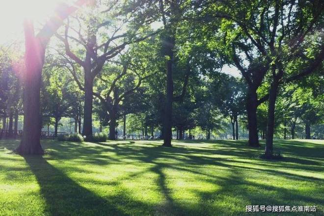 ◆大华公园柏翠售楼处发布顾村黄金三角区公园梦想成真!(图13)