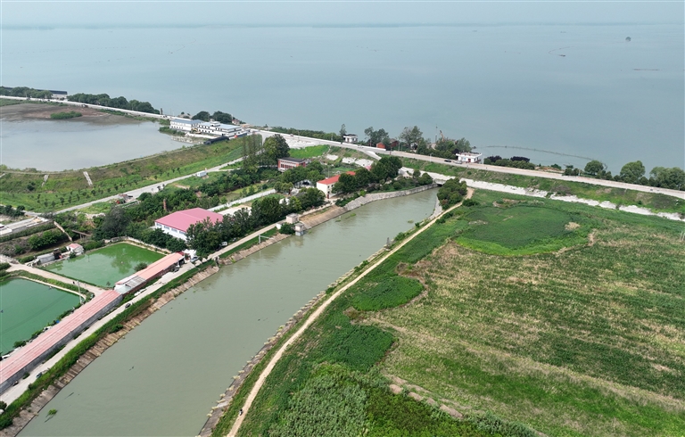 新华网河南频道