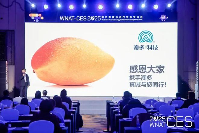 中国汽车技术五年赶超欧美却越卷越廉价(图12)