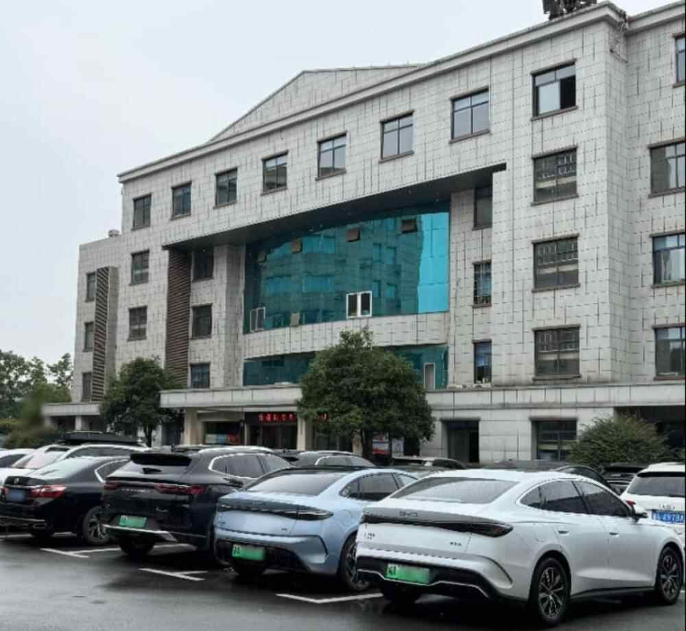 从机关大院到国民选择：比亚迪凭什么驶入“主场”(图1)