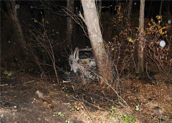 全世界都在围堵隐藏门把手(图3)