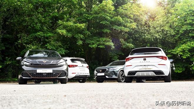 欧洲出了一个“叛徒”!德国突然发动攻势限制中国新能源进入(图12)