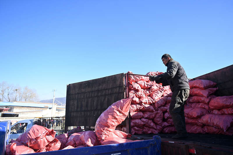 2025年生命总会找到自己的出路(图2)