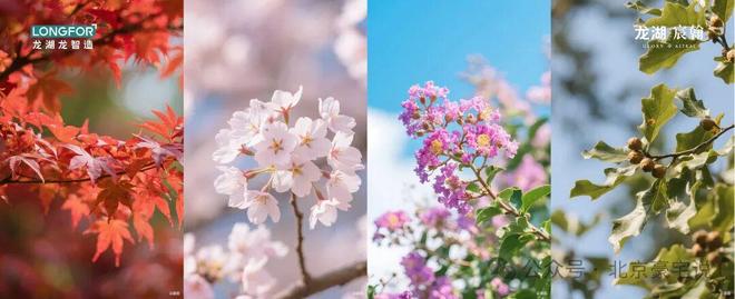 重磅官推⚡龙湖宸翰售楼处发布:龙湖宸翰引领购房热潮!(图10)