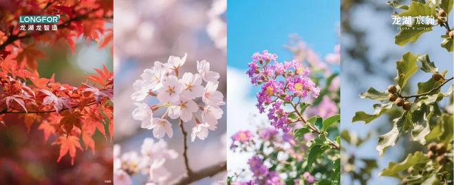 @豆包热搜｜龙湖宸翰售楼处电线）⚡北京房天下(图10)