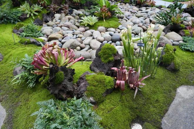 我着实被这款出圈豪宅震撼了(图7)